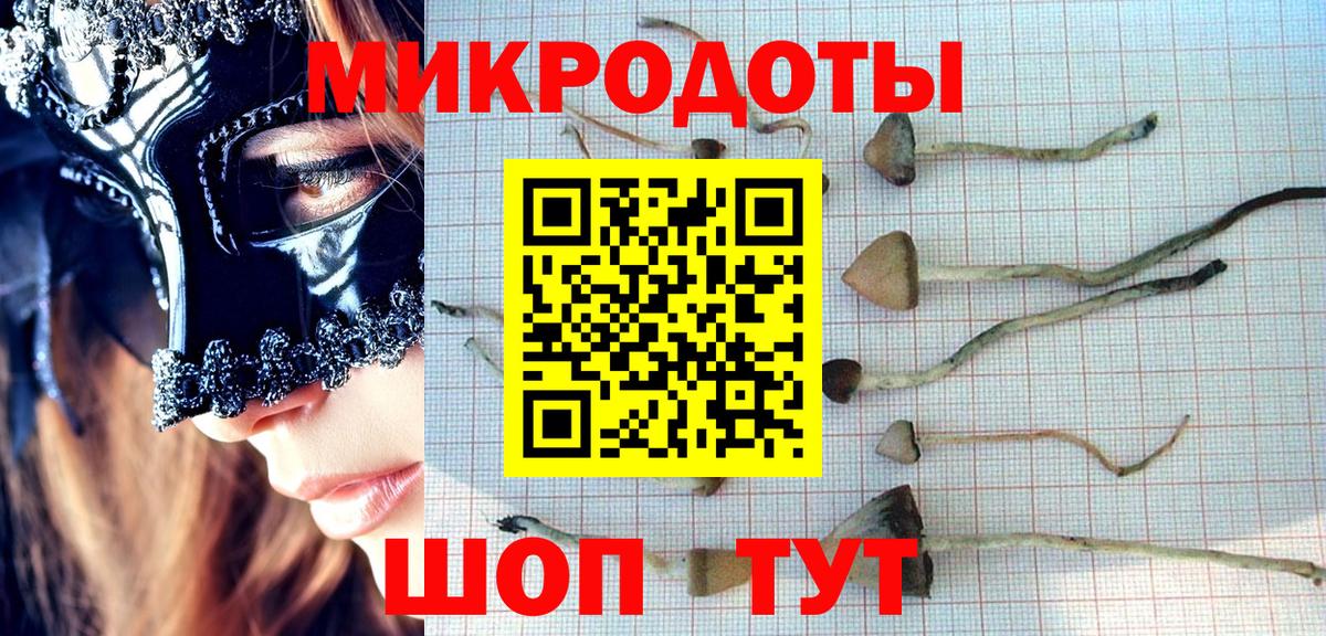 Галлюциногенные грибы ЛСД Ставрополь
